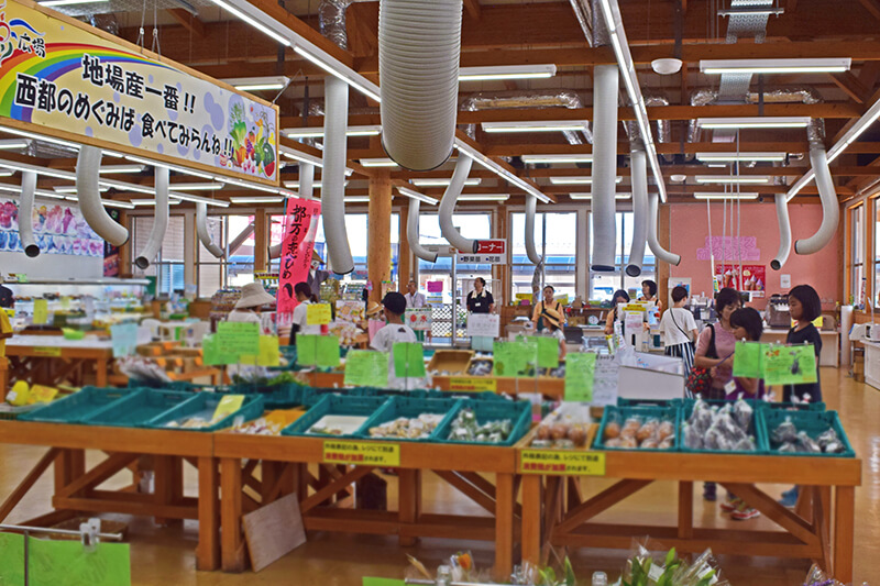 わくわく農業体験・aキッズ工場見学ツアー｜エーコープみやざき